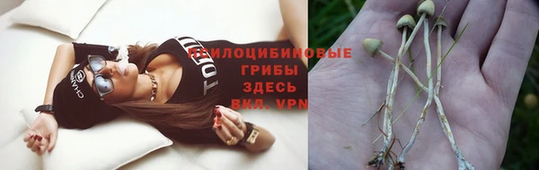 мдпв Баксан