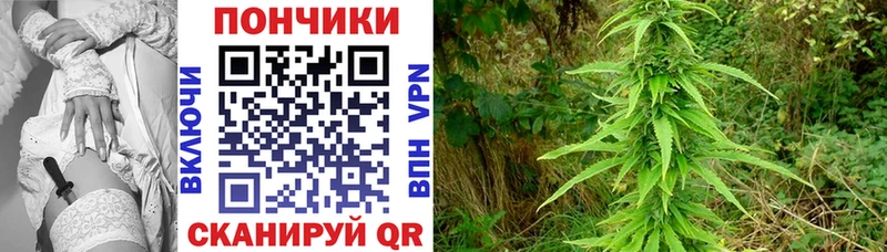 Купить  Зубцов  Конопля White Widow 